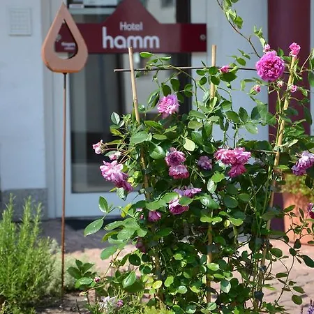 Hamm 3*