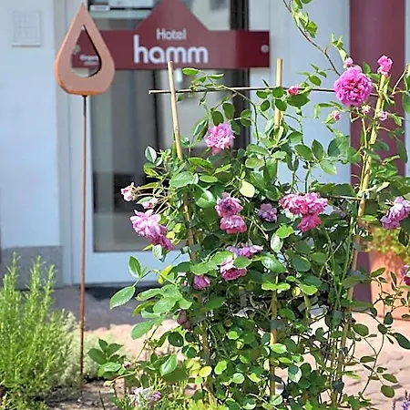 Hamm Hotel 3*